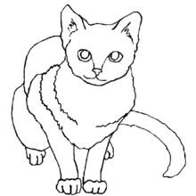 Dibujo Gatito (Animales) #18143 para imprimir y colorear