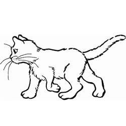 Dibujo para colorear: Gato (Animales) #1764 - Dibujos para Colorear e Imprimir Gratis