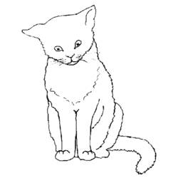 Dibujo para colorear: Gato (Animales) #1783 - Dibujos para Colorear e Imprimir Gratis