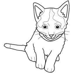 Dibujo para colorear: Gato (Animales) #1814 - Dibujos para Colorear e Imprimir Gratis