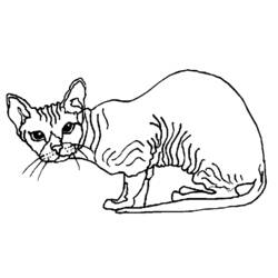 Dibujo para colorear: Gato (Animales) #1841 - Dibujos para Colorear e Imprimir Gratis