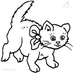 Dibujo para colorear: Gato (Animales) #1863 - Dibujos para Colorear e Imprimir Gratis