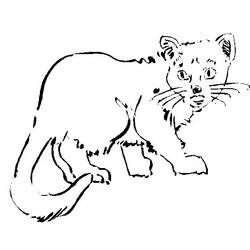Dibujo para colorear: Gato (Animales) #1902 - Dibujos para Colorear e Imprimir Gratis