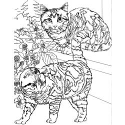 Dibujo para colorear: Gato (Animales) #1913 - Dibujos para Colorear e Imprimir Gratis