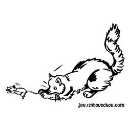 Dibujo para colorear: Gato (Animales) #1951 - Dibujos para Colorear e Imprimir Gratis