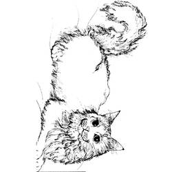 Dibujo para colorear: Gato (Animales) #1955 - Dibujos para Colorear e Imprimir Gratis