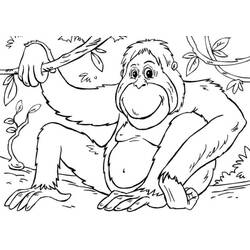 Dibujo Gorila (Animales) #188941 para imprimir y colorear