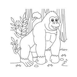 Dibujo Gorila (Animales) #188948 para imprimir y colorear
