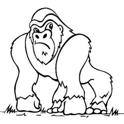 Dibujo para colorear: Gorila (Animales) #7420 - Dibujos para Colorear e Imprimir Gratis