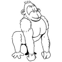 Dibujos para colorear: Gorila - Dibujos para colorear