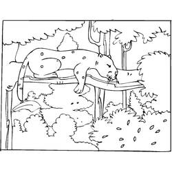 Dibujo Guepardo (Animales) #188879 para imprimir y colorear