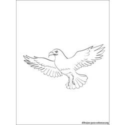 Dibujo para colorear: Halcón (Animales) #6842 - Dibujos para Colorear e Imprimir Gratis