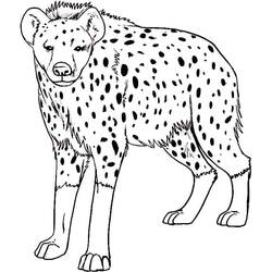 Dibujo Hiena (Animales) #186929 para imprimir y colorear