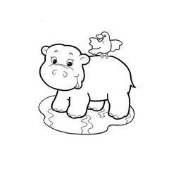 Dibujo Hipopótamo (Animales) #189013 para imprimir y colorear