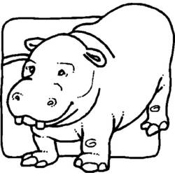 Dibujo para colorear: Hipopótamo (Animales) #8682 - Dibujos para Colorear e Imprimir Gratis