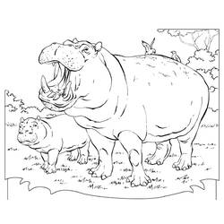 Dibujo para colorear: Hipopótamo (Animales) #8690 - Dibujos para Colorear e Imprimir Gratis