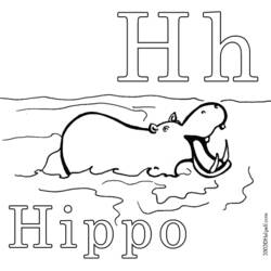 Dibujo para colorear: Hipopótamo (Animales) #8723 - Dibujos para Colorear e Imprimir Gratis