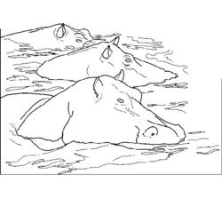 Dibujo para colorear: Hipopótamo (Animales) #8727 - Dibujos para Colorear e Imprimir Gratis