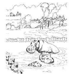 Dibujo para colorear: Hipopótamo (Animales) #8737 - Dibujos para Colorear e Imprimir Gratis