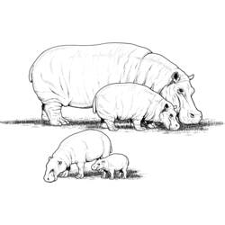 Dibujo para colorear: Hipopótamo (Animales) #8757 - Dibujos para Colorear e Imprimir Gratis