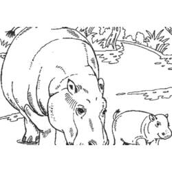 Dibujo para colorear: Hipopótamo (Animales) #8769 - Dibujos para Colorear e Imprimir Gratis