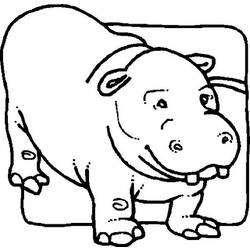 Dibujo para colorear: Hipopótamo (Animales) #8770 - Dibujos para Colorear e Imprimir Gratis