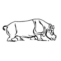 Dibujo para colorear: Hipopótamo (Animales) #8801 - Dibujos para Colorear e Imprimir Gratis