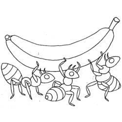 Dibujo para colorear: Hormiga (Animales) #6935 - Dibujos para Colorear e Imprimir Gratis