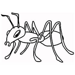 Dibujos para colorear: Hormiga - Dibujos para colorear