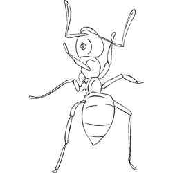 Dibujo para colorear: Hormiga (Animales) #7036 - Dibujos para Colorear e Imprimir Gratis