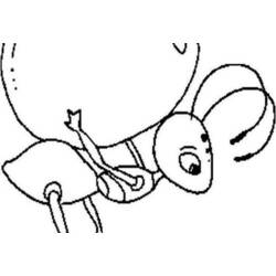 Dibujo para colorear: Hormiga (Animales) #7052 - Dibujos para Colorear e Imprimir Gratis