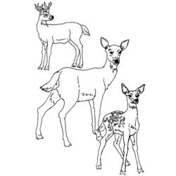 Dibujo para colorear: Hueva (Animales) #2619 - Dibujos para Colorear e Imprimir Gratis