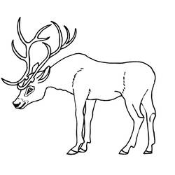 Dibujo para colorear: Hueva (Animales) #2626 - Dibujos para Colorear e Imprimir Gratis