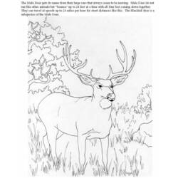 Dibujo para colorear: Hueva (Animales) #2630 - Dibujos para Colorear e Imprimir Gratis