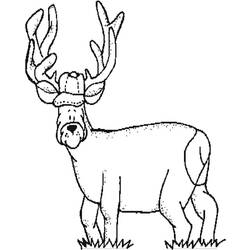 Dibujo para colorear: Hueva (Animales) #2634 - Dibujos para Colorear e Imprimir Gratis