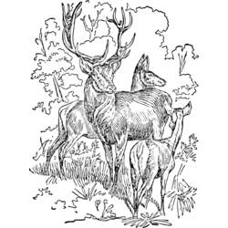 Dibujo para colorear: Hueva (Animales) #2640 - Dibujos para Colorear e Imprimir Gratis