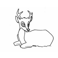 Dibujo para colorear: Hueva (Animales) #2677 - Dibujos para Colorear e Imprimir Gratis