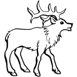 Dibujo para colorear: Hueva (Animales) #2681 - Dibujos para Colorear e Imprimir Gratis