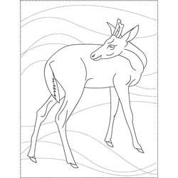 Dibujo para colorear: Hueva (Animales) #2685 - Dibujos para Colorear e Imprimir Gratis