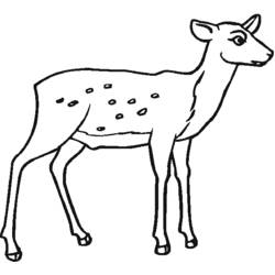 Dibujo para colorear: Hueva (Animales) #2689 - Dibujos para Colorear e Imprimir Gratis
