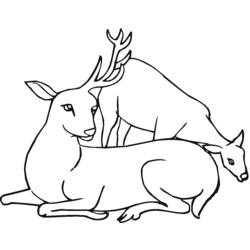 Dibujo para colorear: Hueva (Animales) #2721 - Dibujos para Colorear e Imprimir Gratis