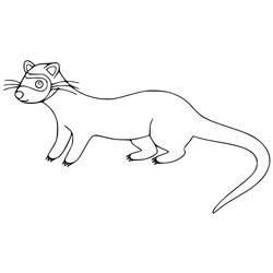 Dibujo para colorear: Hurón (Animales) #205385 - Dibujos para Colorear e Imprimir Gratis