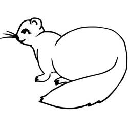 Dibujo para colorear: Hurón (Animales) #205387 - Dibujos para Colorear e Imprimir Gratis