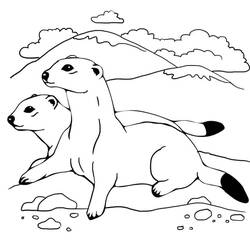Dibujo para colorear: Hurón (Animales) #205388 - Dibujos para Colorear e Imprimir Gratis