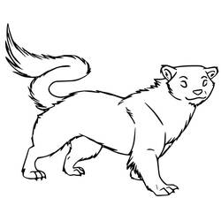 Dibujo para colorear: Hurón (Animales) #205392 - Dibujos para Colorear e Imprimir Gratis
