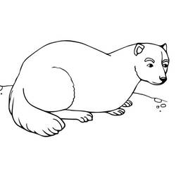 Dibujo para colorear: Hurón (Animales) #205395 - Dibujos para Colorear e Imprimir Gratis