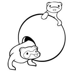 Dibujo para colorear: Hurón (Animales) #205416 - Dibujos para Colorear e Imprimir Gratis