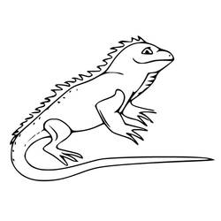 Dibujo para colorear: Iguana (Animales) #188787 - Dibujos para Colorear e Imprimir Gratis