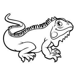 Dibujo para colorear: Iguana (Animales) #188790 - Dibujos para Colorear e Imprimir Gratis