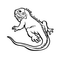 Dibujo para colorear: Iguana (Animales) #188791 - Dibujos para Colorear e Imprimir Gratis